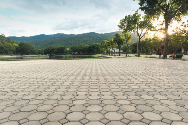 Best Driveway Pavers Near Me  in Orange Blossom, CA